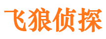 平阳寻人公司